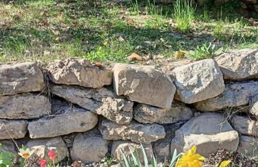 Villa Bersani - Photo 16