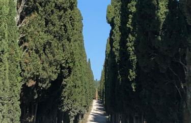 Podere La Casa - Foto 32