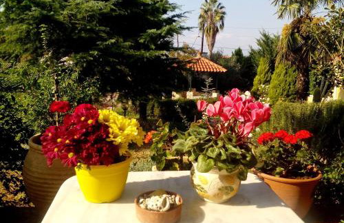 Villa Ioanna - Foto 2