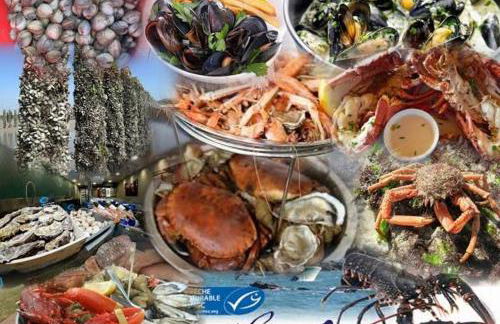 Studio~ Les pieds dans l'eau 2~ - Foto 32