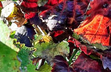 Ferienwohnung "Am Blauwasser" mit Infrarotkabine - Foto 23