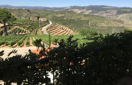 Quinta dos Espinheiros - Foto 35