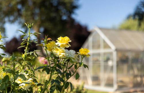 Serene Vineyard•Deck, Pickleball, Views~ Near Town - Foto 39