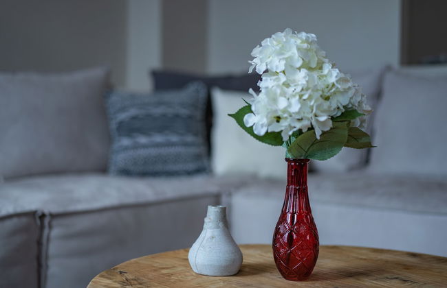 Gems of Pinakates - Foto 42