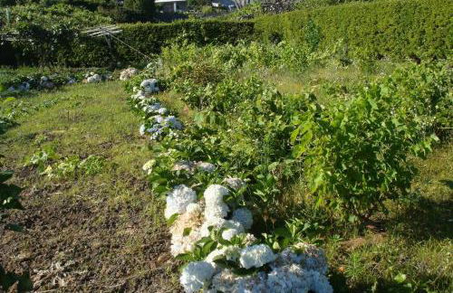 Silveira's Home - Photo 11