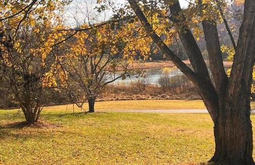 Family and Pet Friendly Retreat with Sauna, Firepit, Pond Views Near Route 151 Wineries - Foto 30