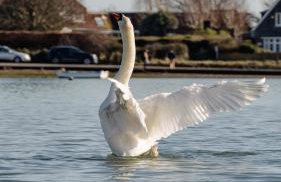 City Centre Entire Studio Apartment- Self check in - Foto 30