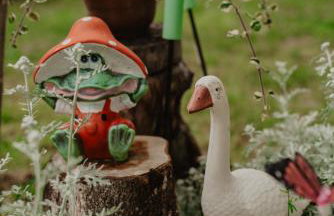 Brzozowa Polana - Foto 47