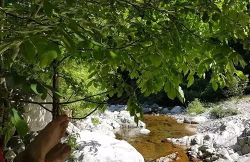 Les chambres de la ferme de chalas - Foto 50