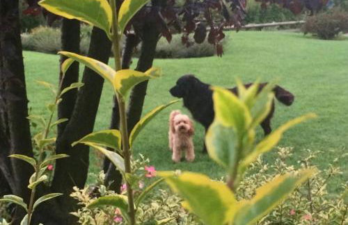 CHALET VELA Natura e Relax - Foto 24