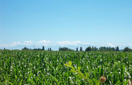 Gite 3, Domaine Logis Gascogne - Photo 37