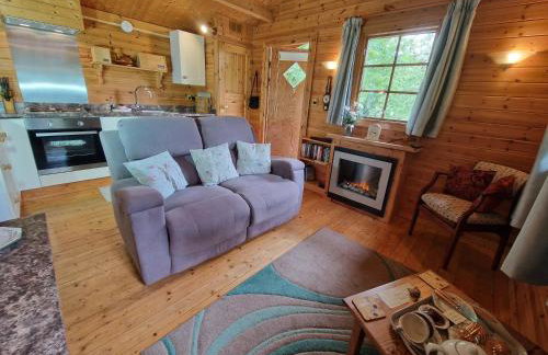 Polgwedhen Lodge - Photo 6