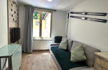 Apartahotel Canfranc - Foto 96