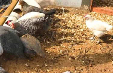 Rare River Views & Access, Cabin by Eden Islands - Foto 56