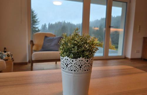 Schwarzwaldblick Rothaus 'Meise' - Foto 6