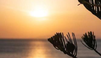 Villa Mare Nostrum Sounio - Foto 4