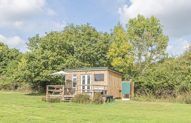 Dartmoor Reach Alpaca Farm - Foto 40