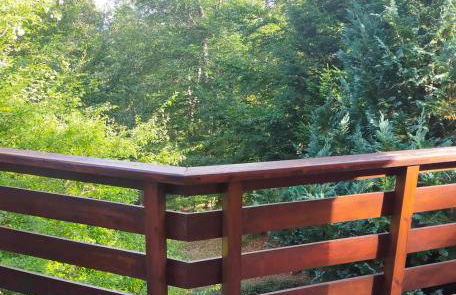 Gite Le Chalet SaintAnthème / Prabouré - Foto 30