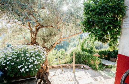 Il Gufo e l' Allodola - Foto 32