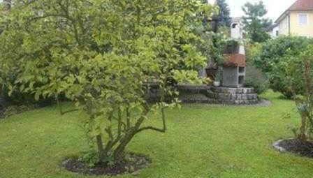 Ferienwohnung Franz - Foto 5