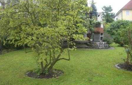 Ferienwohnung Franz - Foto 5