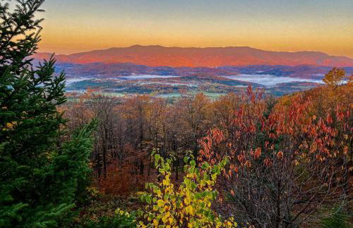 Scenic Sourbush - Photo 29