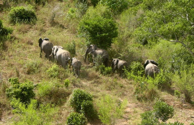 Qua Bruce Apartment - Foto 34