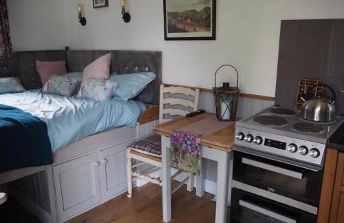 The Owl Hoot - Foto 7