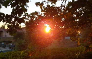 Agriturismo Diaccialone - Foto 44