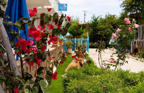 Asteri Studios - Photo 22