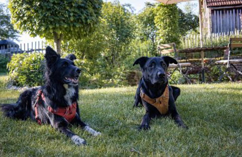 Ferienhaus ScheunenRefugio - Foto 28