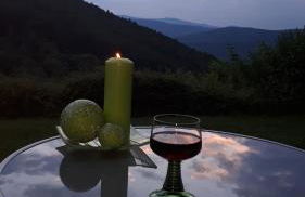 Ferienapartment 38 Sonnenwald - Foto 76