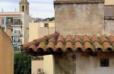 Apartment Oliver - Foto 28