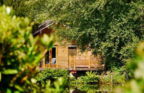 The Ferny Hoolet - Foto 31