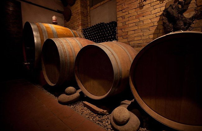 Dégustation de vins avec le producteur Visite la cave e vignoble - Photo 10