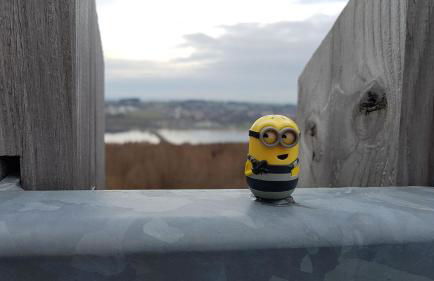 Ferienhaus Adelon - Foto 36