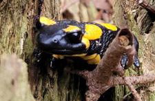 Apartamenty U Pana Jana - Foto 41