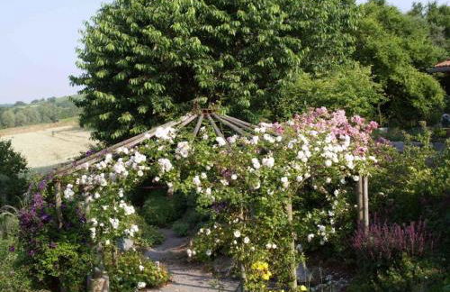 Atelier-Rapp - Foto 31