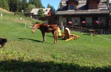 Agriturismo il Fiocco - Foto 21