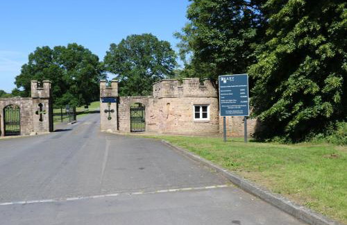 Bracken Fern - Photo 33