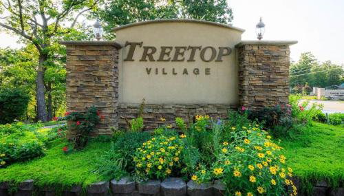 Treetop Village-Treetop Escape 102 - Photo 4
