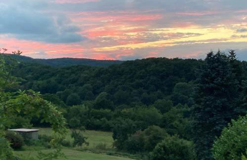 Ferienhaus EifelOne - Panorama - Foto 14
