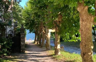 Villa La Bolvedrina - Lake Como Villa Apartments - Garden & First Floor - Foto 15