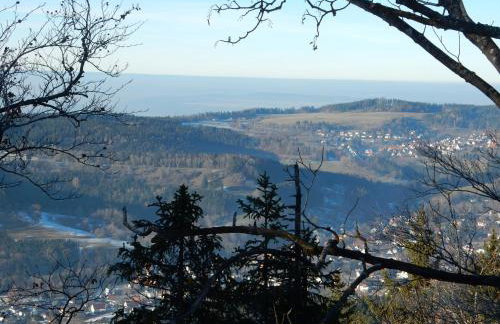 Haus Kellenburg - Foto 49