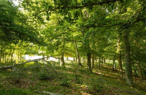 Casa Rural El Huerto de la Fragua - Foto 14