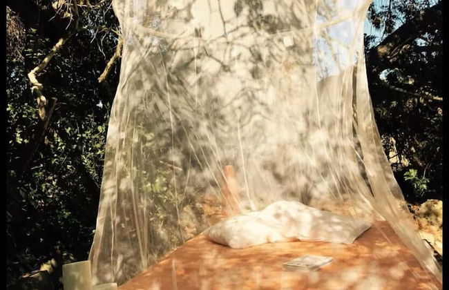 Biovilla Sustentabilidade - Foto 20