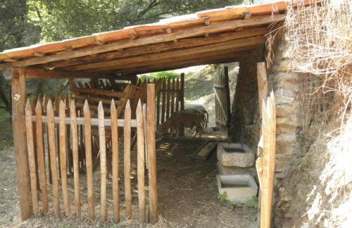 Casa Velha - Foto 20