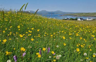 Ornum Self Catering Cottage - Foto 43