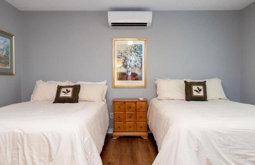 Nancy's Edelweiss with Wintergreen Advantage - Foto 23