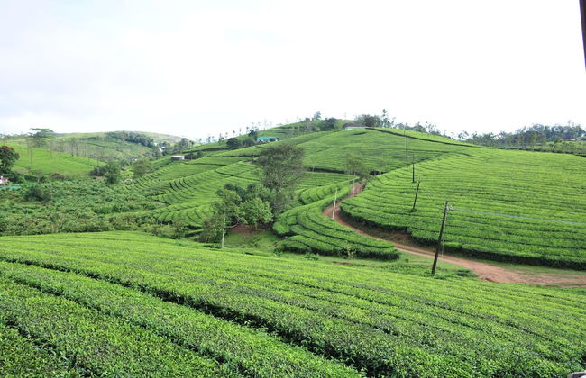 Kudaram County Resort - Foto 50